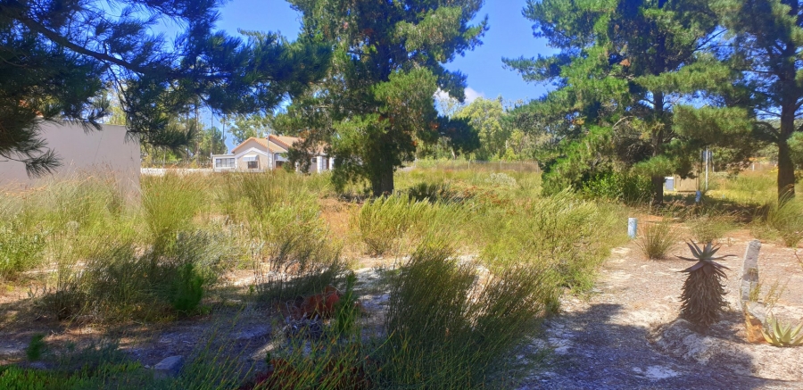  Bedroom Property for Sale in Albertinia Western Cape